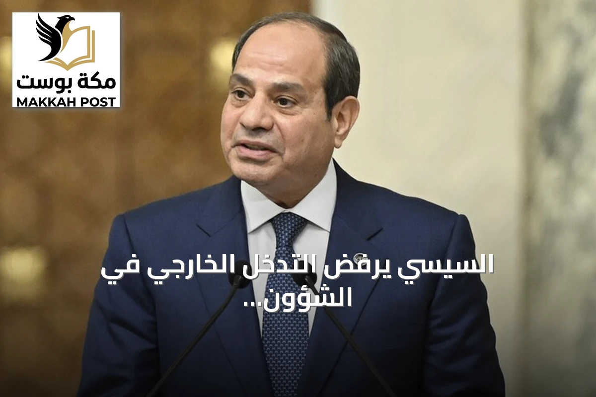 السيسي يرفض التدخل الخارجي في الشؤون الإفريقية ويؤكد على تنسيق إدارة الأنهار العابرة للحدود