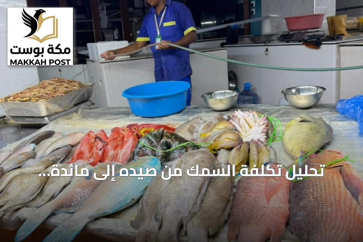 تحليل تكلفة السمك من صيده إلى مائدة المستهلك في المملكة