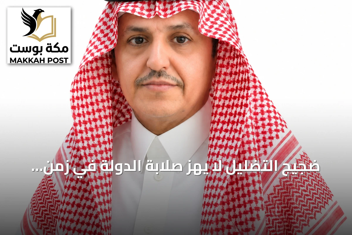ضجيج التضليل لا يهز صلابة الدولة في زمن الأزمات