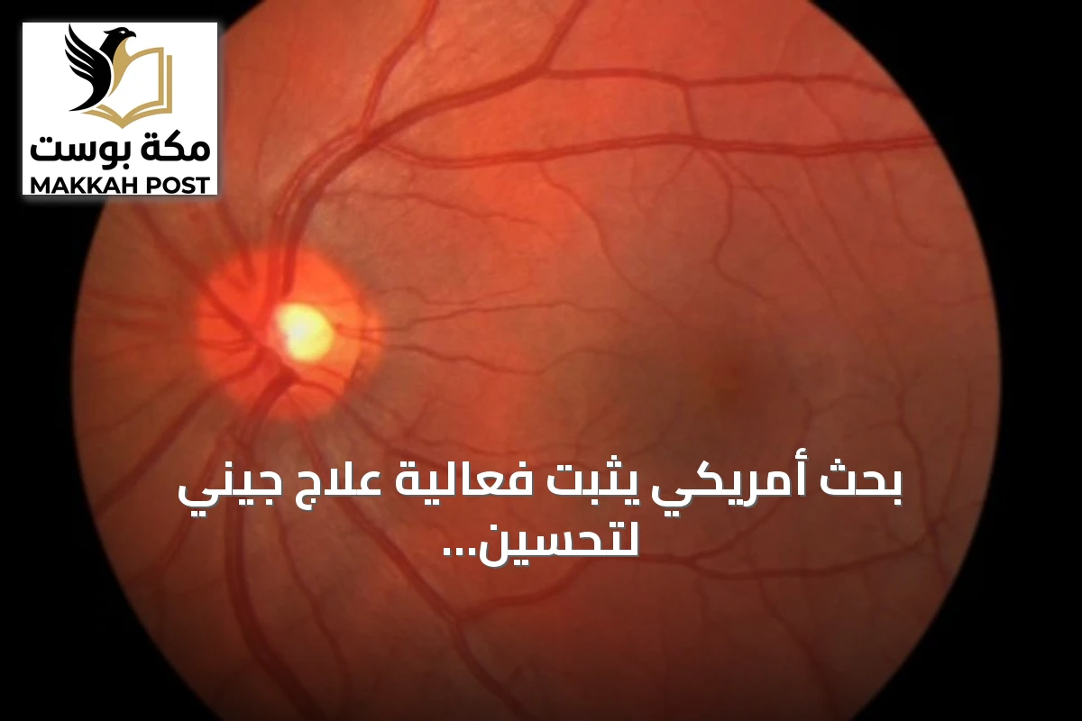 بحث أمريكي يثبت فعالية علاج جيني لتحسين الرؤية وإعادة ترميم شبكية العين