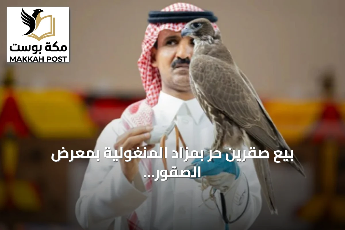 بيع صقرين حر بمزاد المنغولية بمعرض الصقور والصيد السعودي 2026 بقيمة 476 ألف ريال
