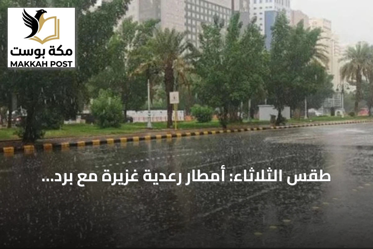 طقس الثلاثاء: أمطار رعدية غزيرة مع برد ورياح نشطة على عدة مناطق