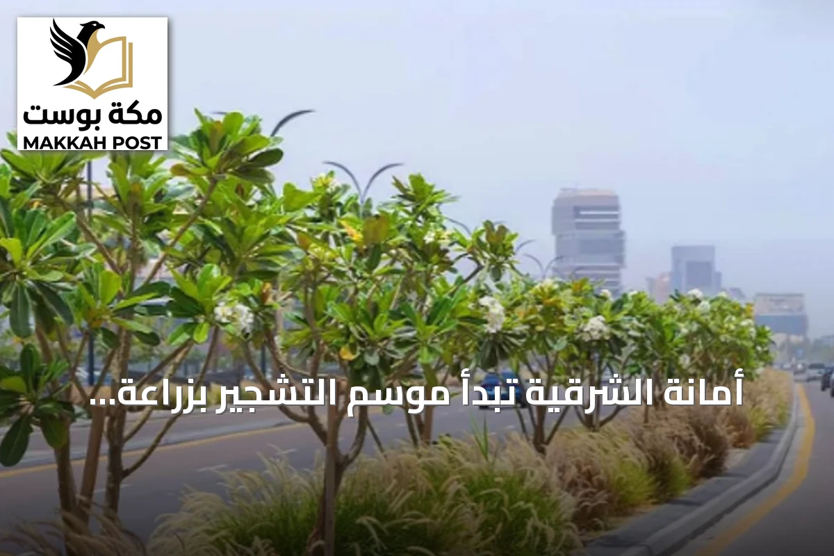 أمانة الشرقية تبدأ موسم التشجير بزراعة أكثر من 20 ألف شجرة وتوسيع المسطحات الخضراء في الخبر