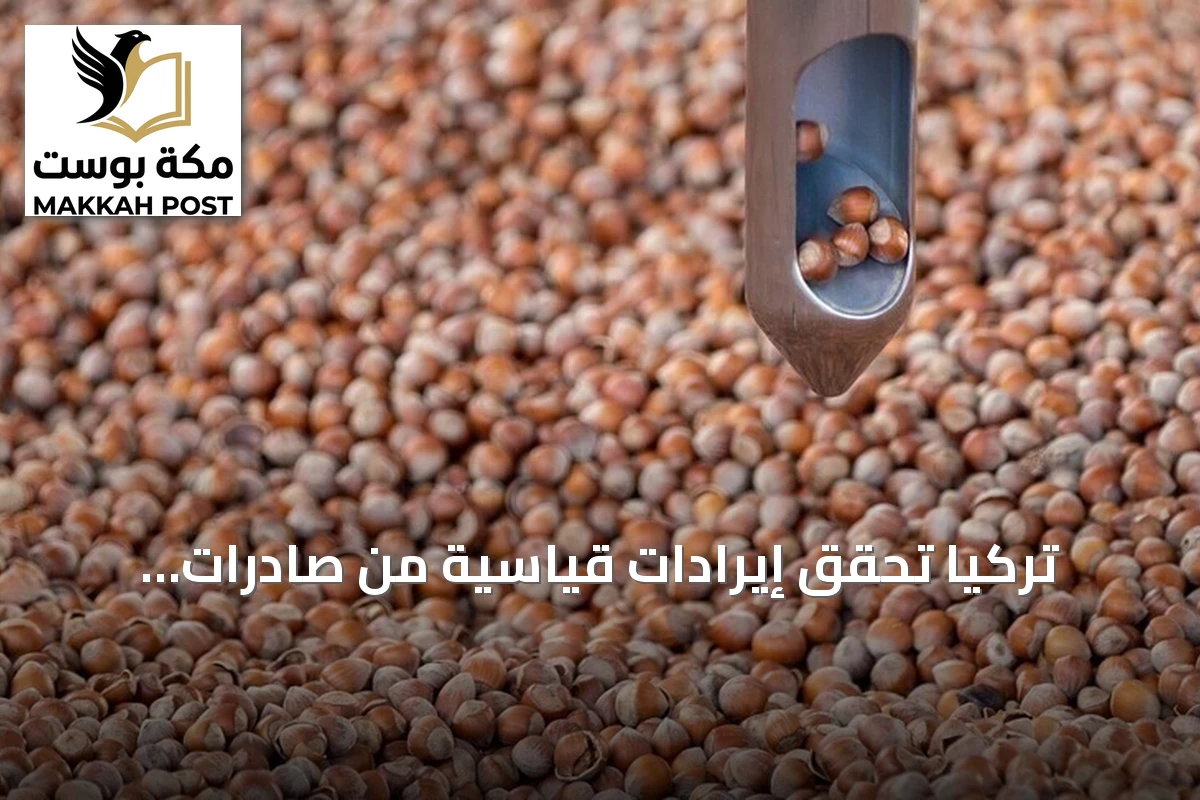 تركيا تحقق إيرادات قياسية من صادرات البندق تتجاوز 2.5 مليار دولار في موسم 2025-2026