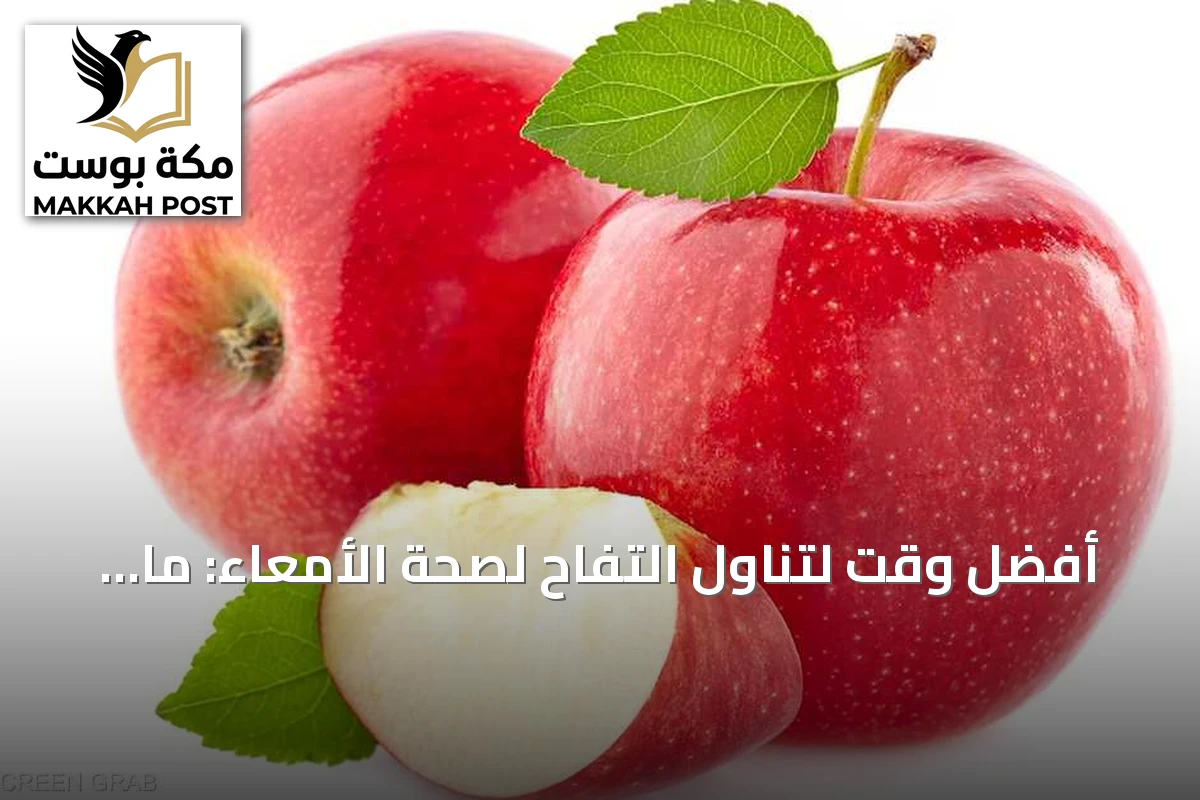 أفضل وقت لتناول التفاح لصحة الأمعاء: ما تقترحه الأدلة؟