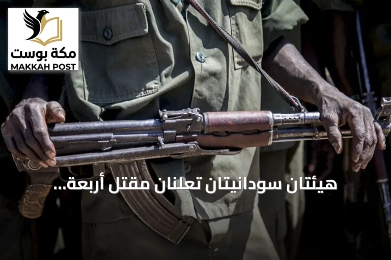 هيئتان سودانيتان تعلنَان مقتل أربعة مدنيين بقصف مسيرات الدعم السريع بالدمازين