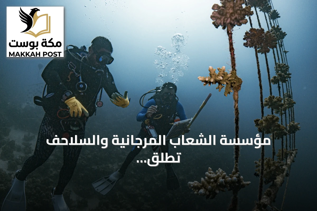 مؤسسة الشعاب المرجانية والسلاحف تطلق مشروع إكثار الشعاب المرجانية في جدة