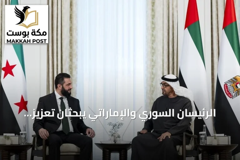 الرئيسان السوري والإماراتي يبحثان تعزيز العلاقات وتوسيع التعاون الاقتصادي
