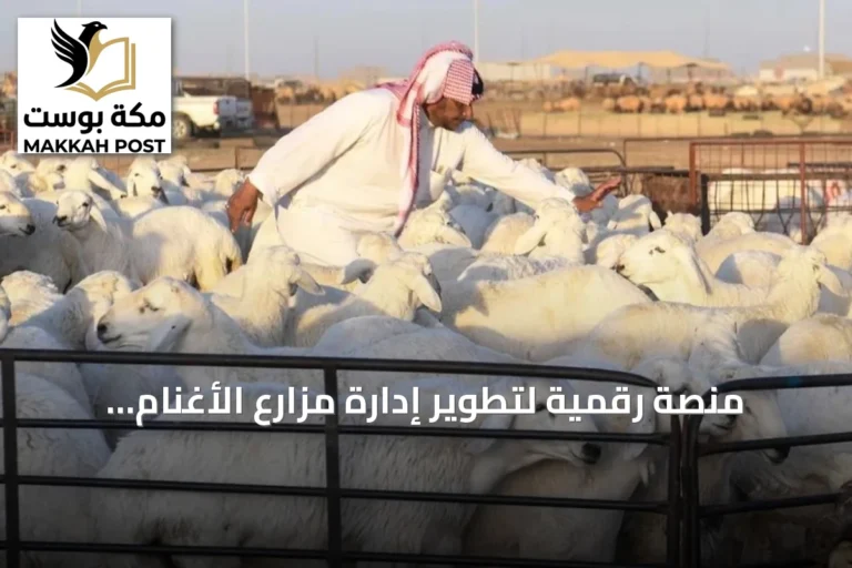 منصة رقمية لتطوير إدارة مزارع الأغنام والماعز