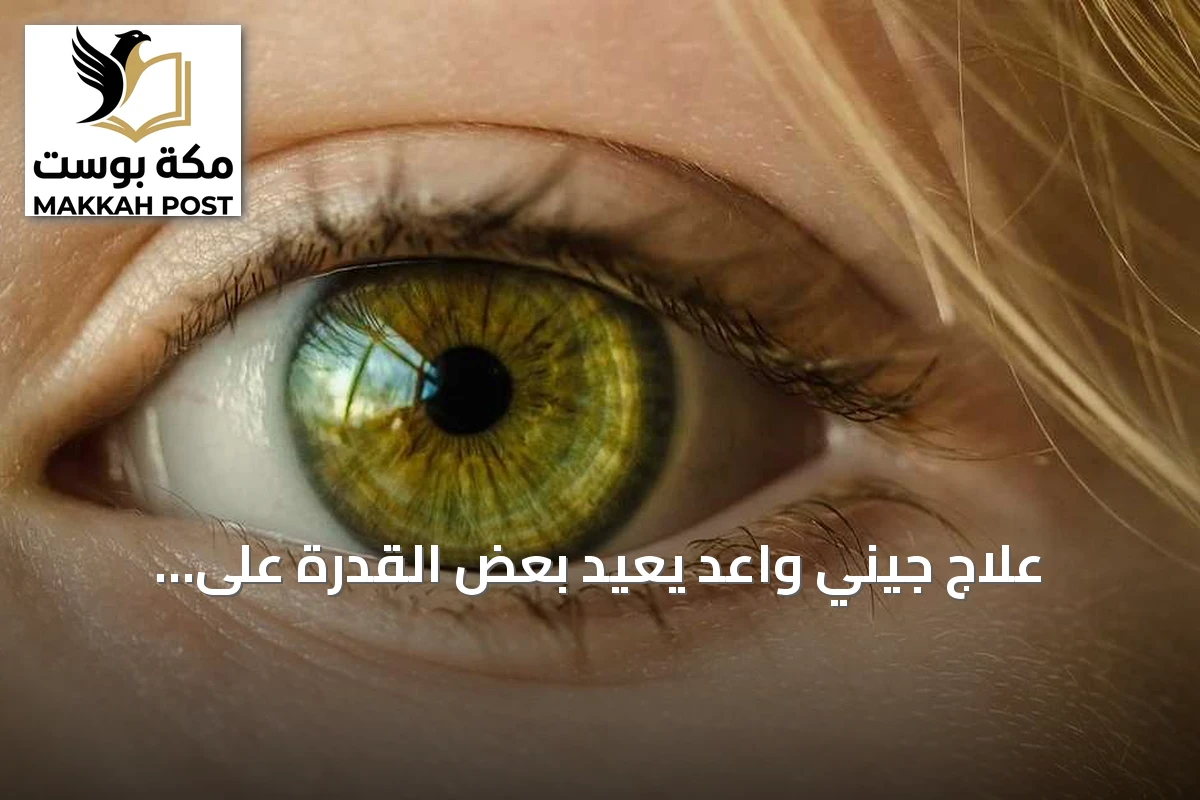 علاج جيني واعد يعيد بعض القدرة على الإبصار للمكفوفين