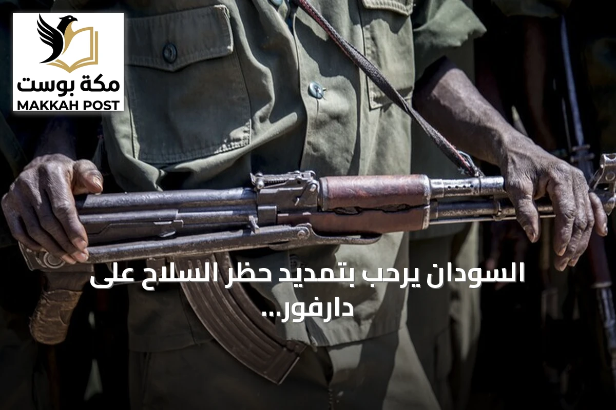 السودان يرحب بتمديد حظر السلاح على دارفور ويرفض توسيعه إلى كامل البلاد