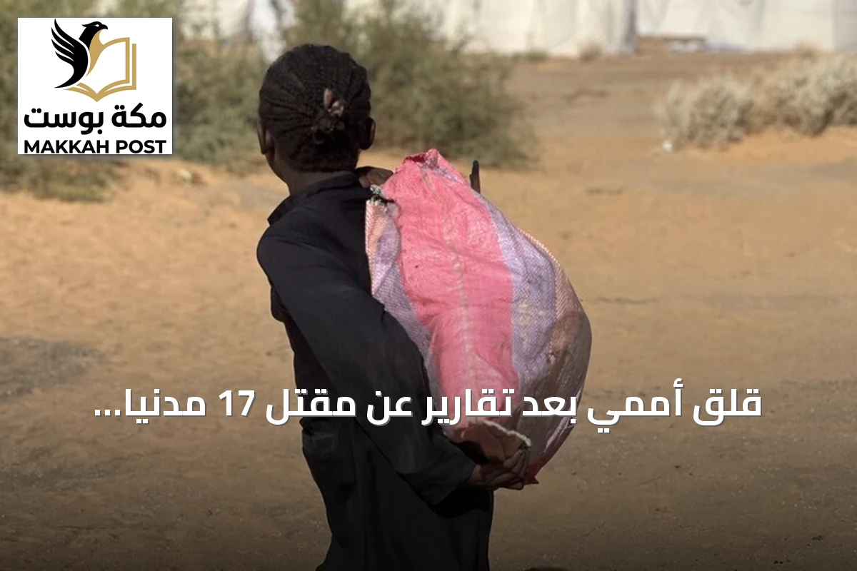 قلق أممي بعد تقارير عن مقتل 17 مدنياً بقصف طائرات مسيرة في غرب كردفان