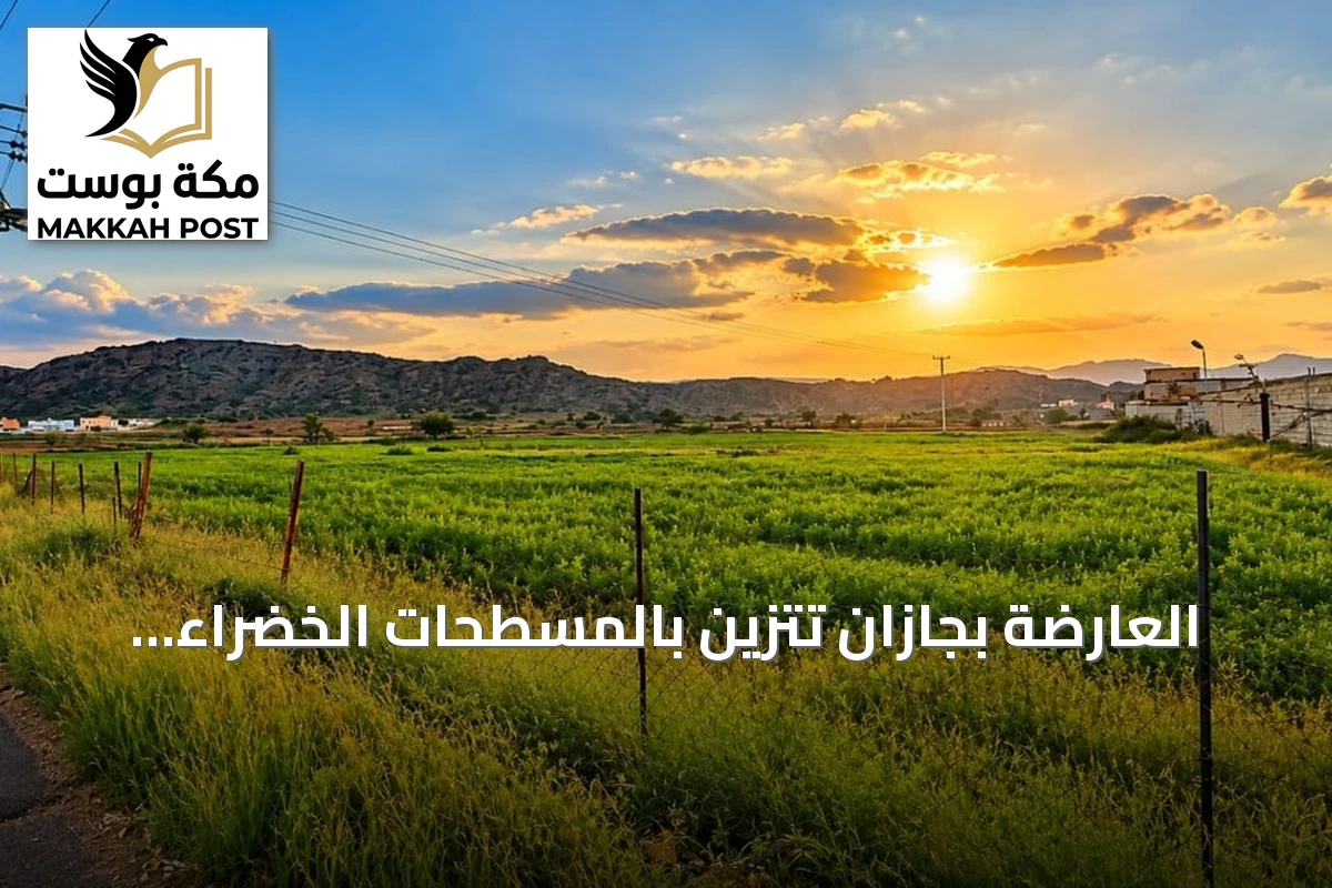 العارضة بجازان تتزين بالمسطحات الخضراء بعد هطول الأمطار
