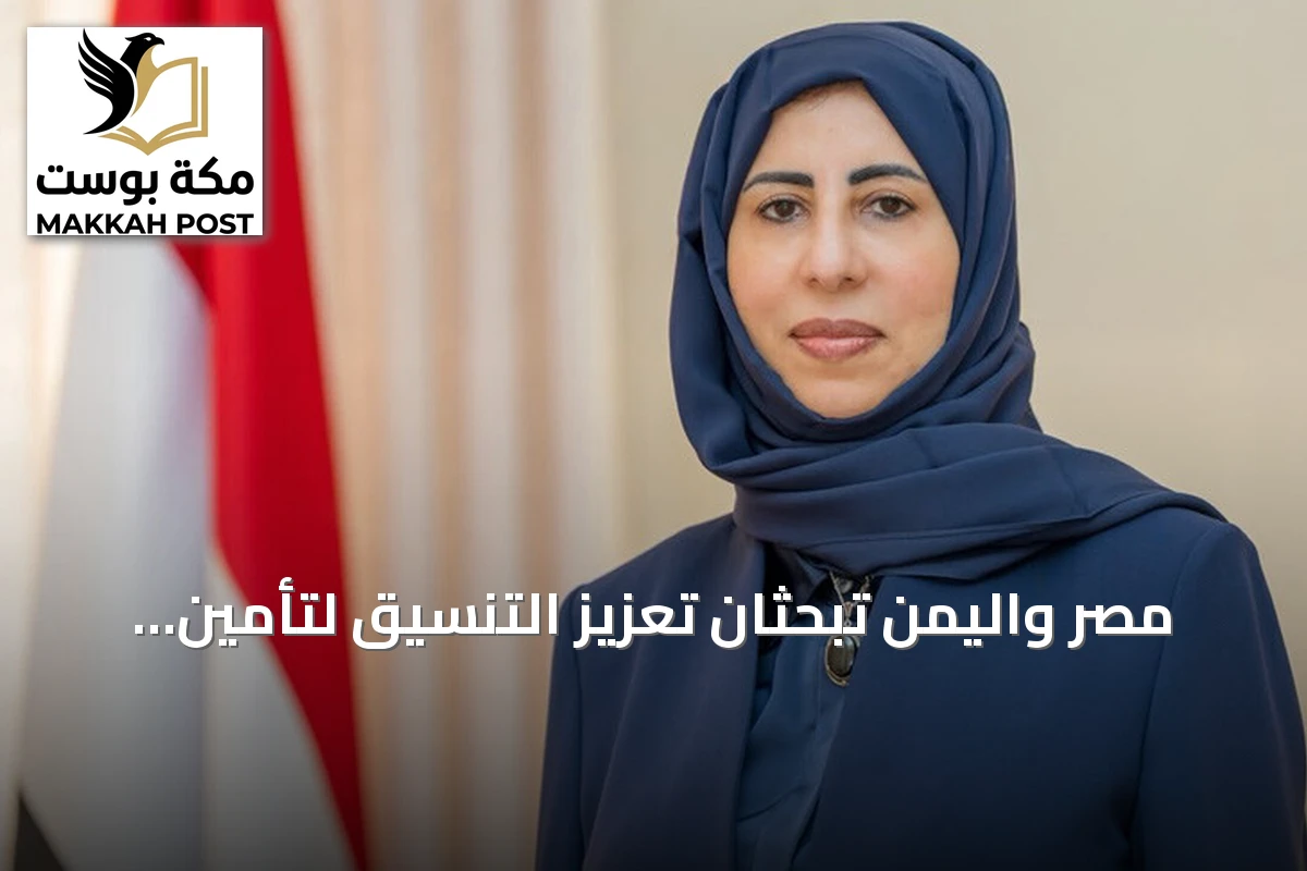 مصر واليمن تبحثان تعزيز التنسيق لتأمين الملاحة في باب المندب والبحر الأحمر
