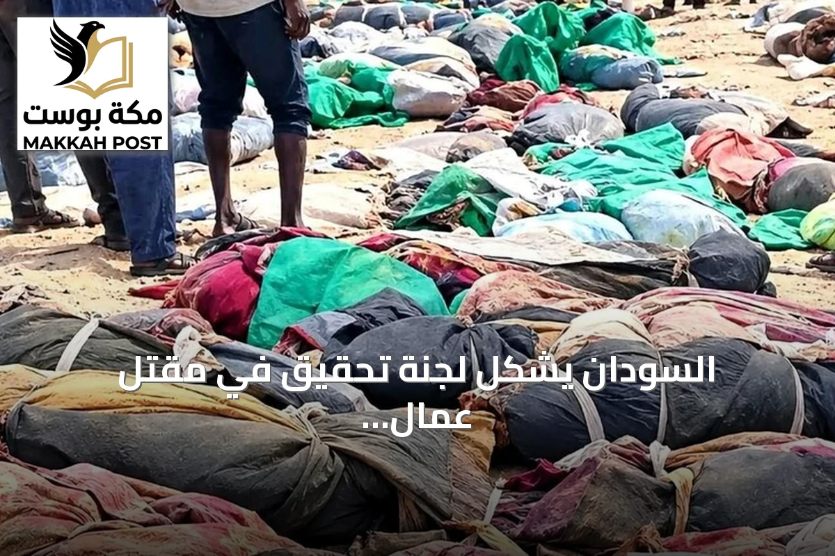 السودان يشكل لجنة تحقيق في مقتل عمال تعدين على الحدود مع مصر