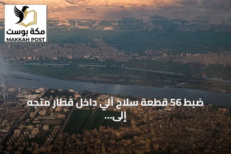 ضبط 56 قطعة سلاح آلي داخل قطار متجه إلى القاهرة