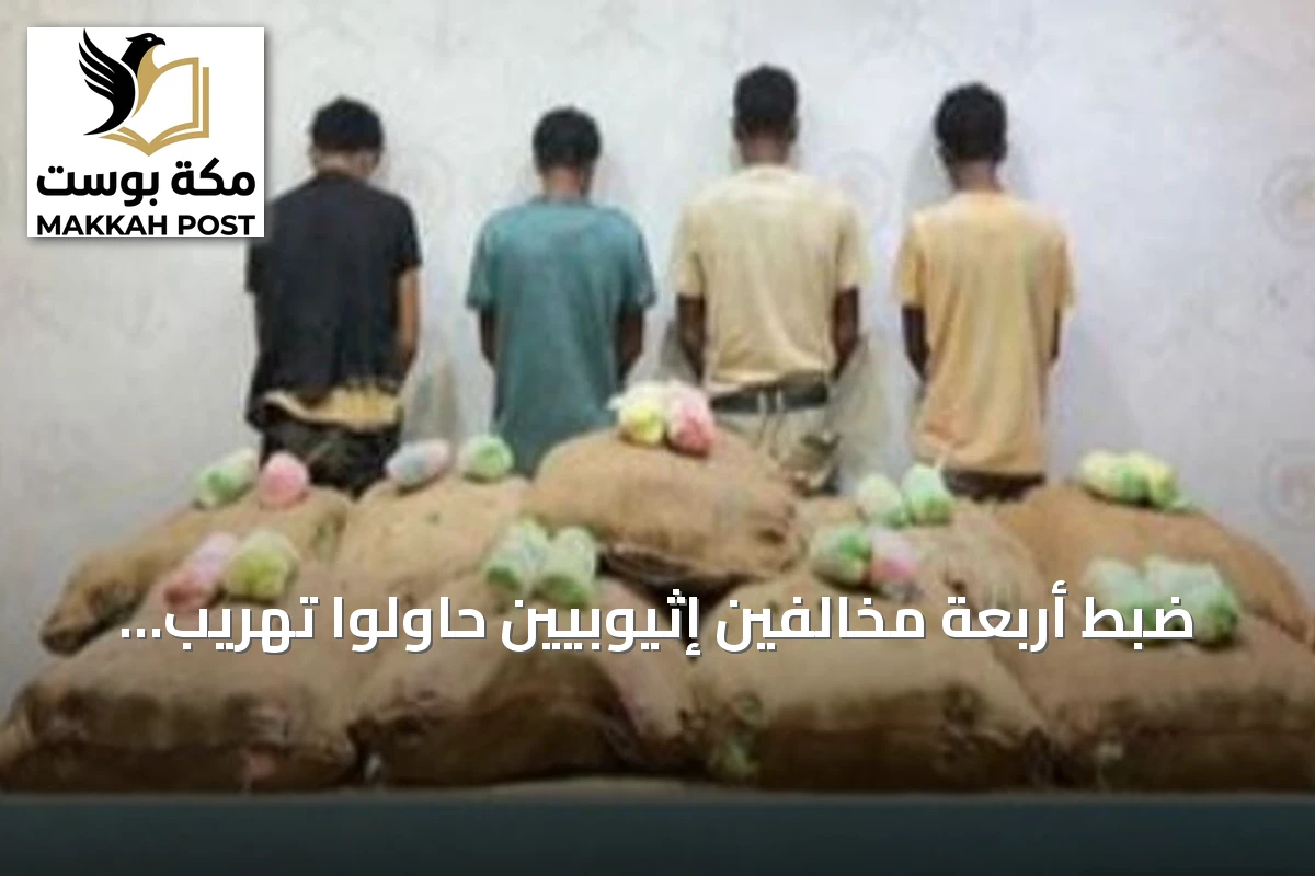 ضبط أربعة مخالفين إثيوبيين حاولوا تهريب 200 كيلوجرام من القات بمنطقة جازان