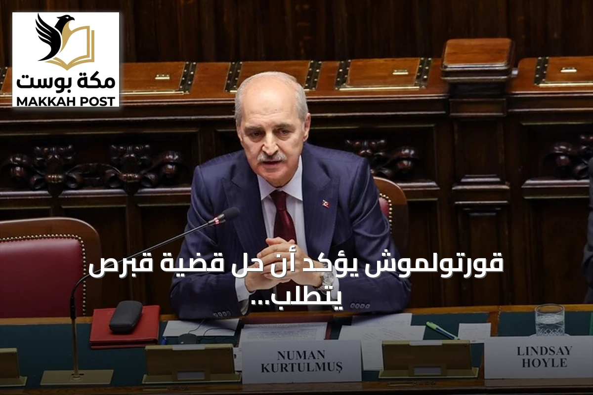 قورتولموش يؤكد أن حل قضية قبرص يتطلب الاعتراف بالقبارصة الأتراك