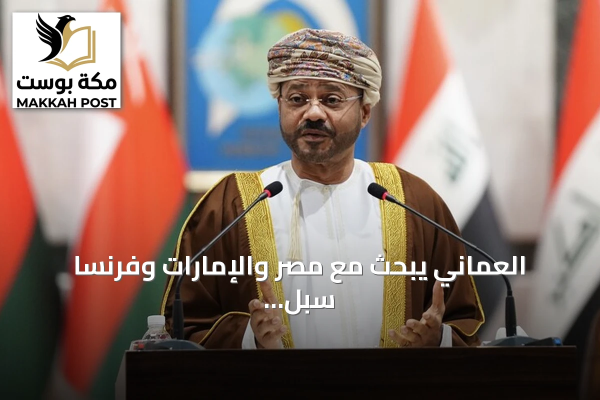 العُماني يبحث مع مصر والإمارات وفرنسا سبل خفض التوتر الإقليمي