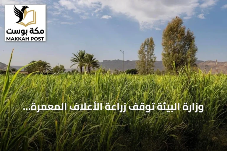 وزارة البيئة توقف زراعة الأعلاف المعمرة وتوجه المزارعين نحو الأنواع الموسمية