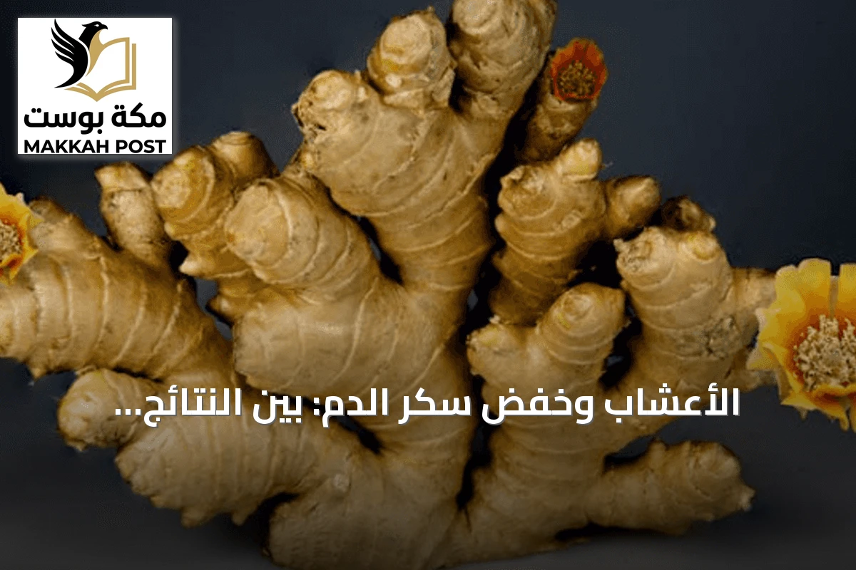 الأعشاب وخفض سكر الدم: بين النتائج البحثية واستخدامها اليومي