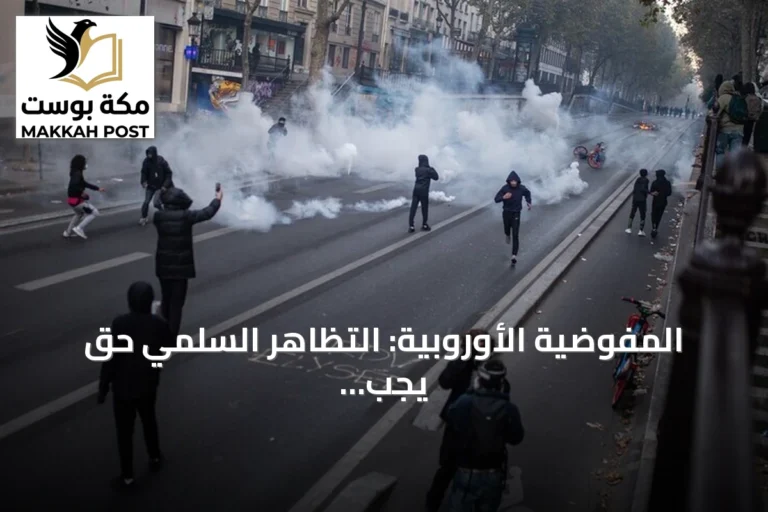المفوضية الأوروبية: التظاهر السلمي حق يجب حمايته والعنف غير مقبول في احتجاجات فرنسا