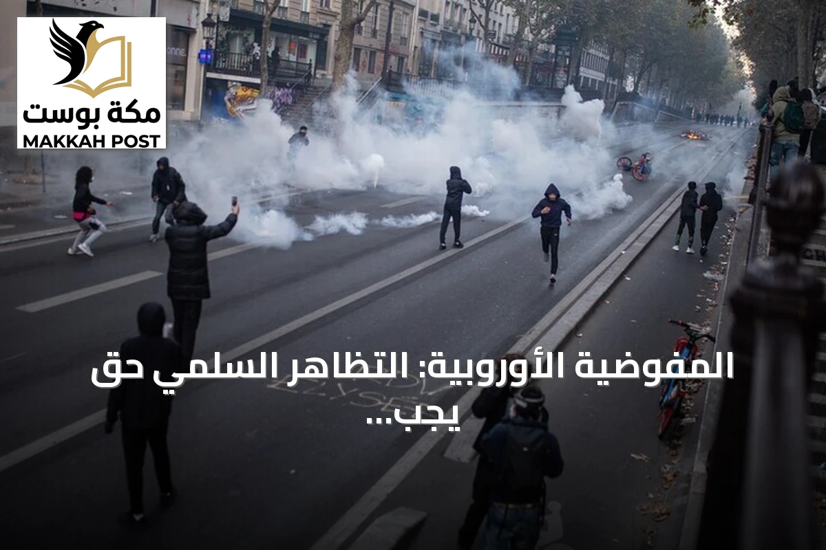 المفوضية الأوروبية: التظاهر السلمي حق يجب حمايته والعنف غير مقبول في احتجاجات فرنسا