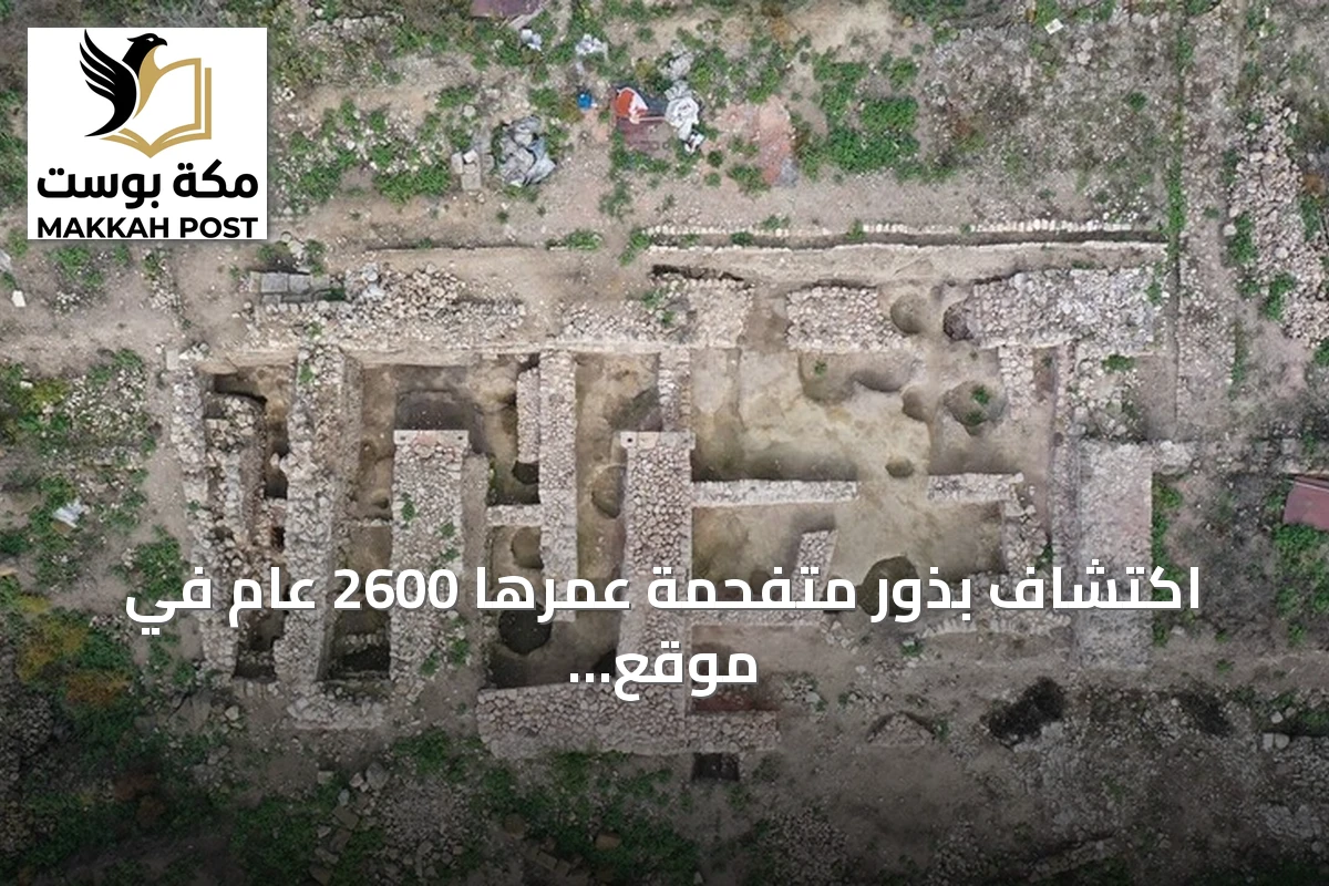 اكتشاف بذور متفحمة عمرها 2600 عام في موقع داسكيليون التركي