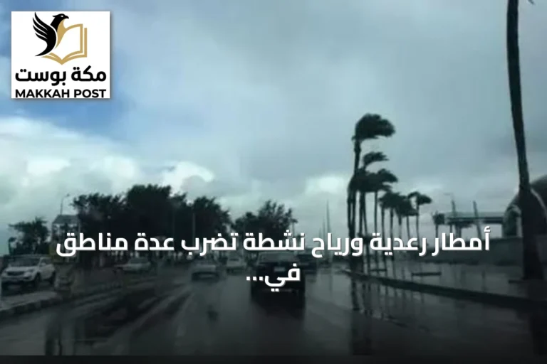 أمطار رعدية ورياح نشطة تضرب عدة مناطق في المملكة الأربعاء