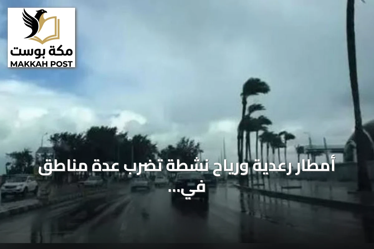 أمطار رعدية ورياح نشطة تضرب عدة مناطق في المملكة الأربعاء