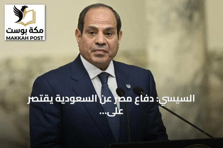 السيسي: دفاع مصر عن السعودية يقتصر على حدودها ولا يشمل هجوماً على اليمن