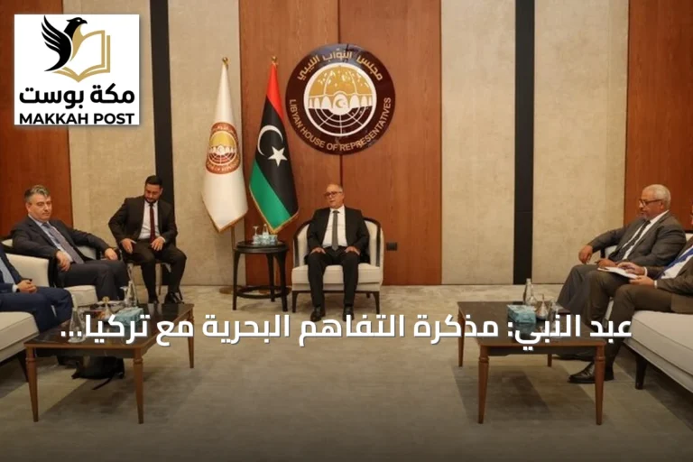 عبد النبي: مذكرة التفاهم البحرية مع تركيا قرار سيادي ولا تمس مصالح أحد