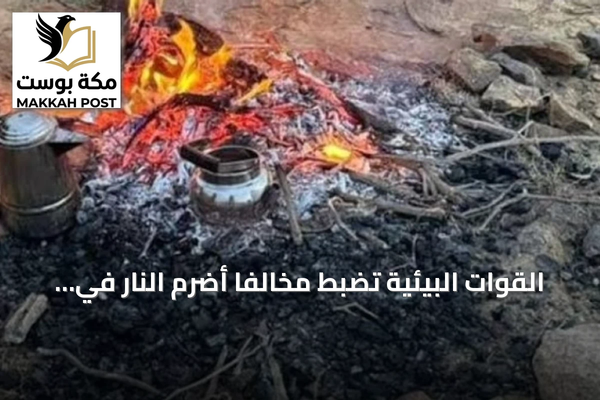 القوات البيئية تضبط مخالفاً أضرم النار في محمية الأمير محمد بن سلمان