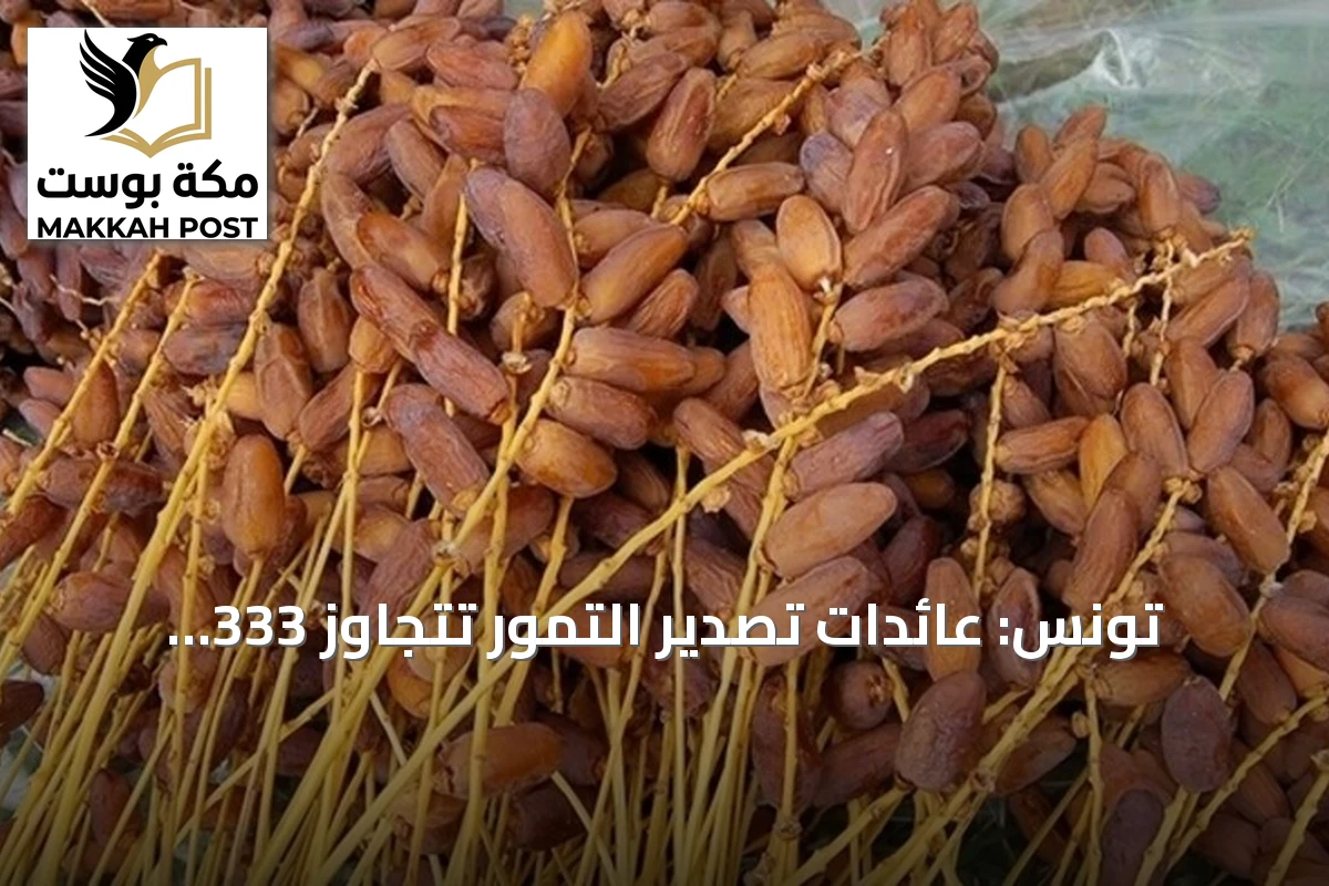 تونس: عائدات تصدير التمور تتجاوز 333 مليون دولار في موسم 2025-2026