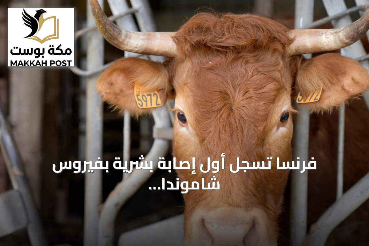فرنسا تسجل أول إصابة بشرية بفيروس شاموندا تؤدي إلى وفاة مريض في ليون