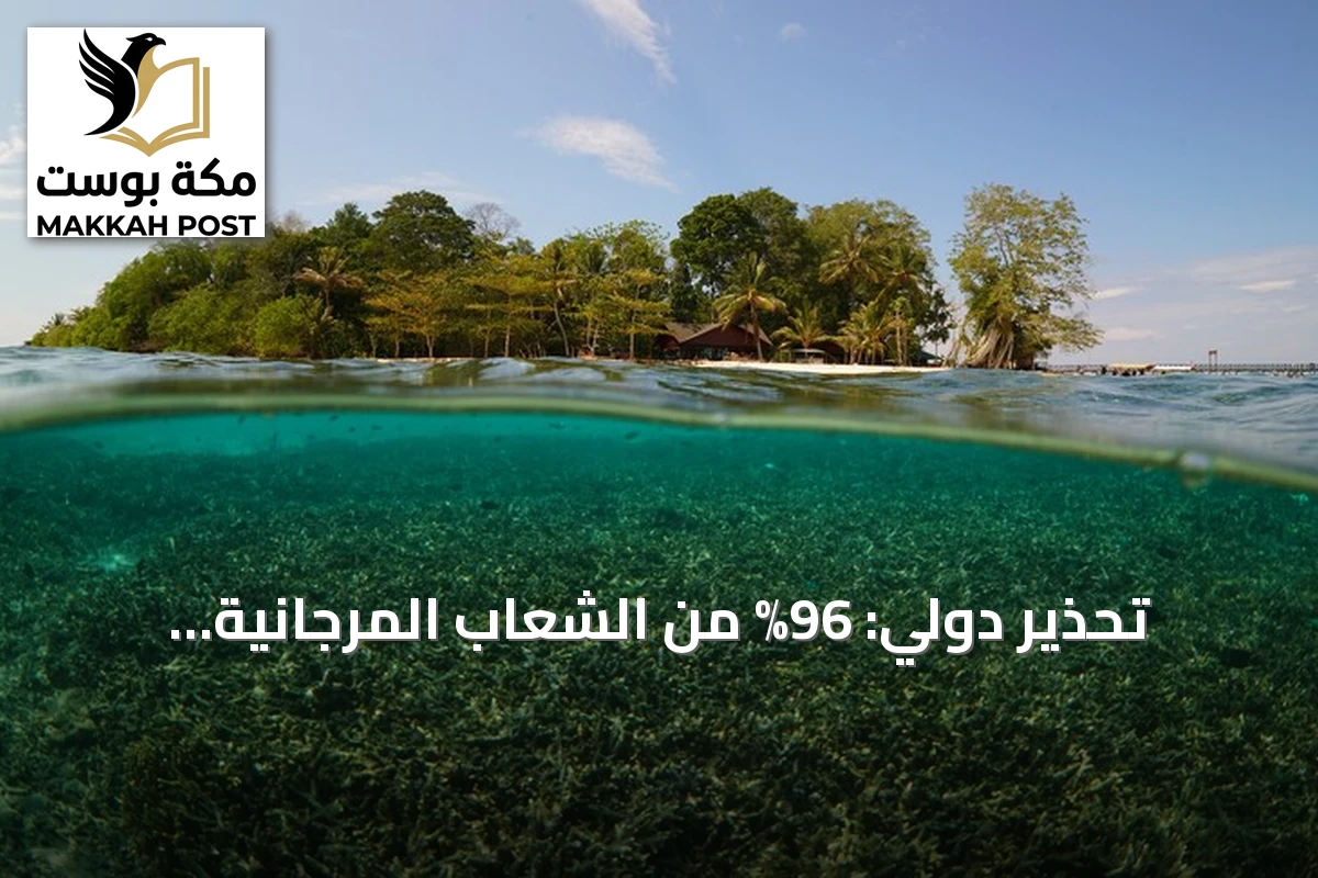 تحذير دولي: 96% من الشعاب المرجانية الضحلة مهددة بالاندثار قبل 2075