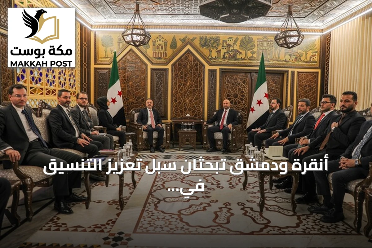 أنقرة ودمشق تبحثان سبل تعزيز التنسيق في مجال الطوارئ والكوارث
