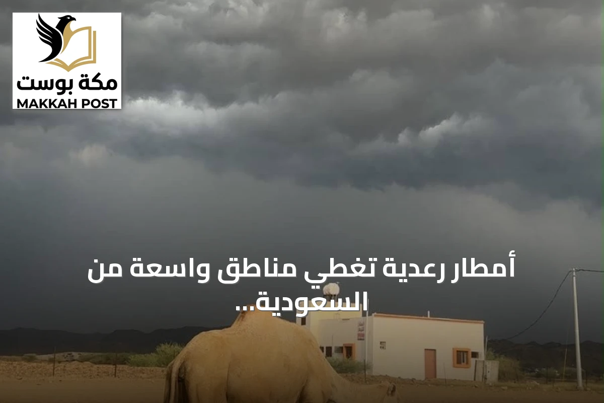 أمطار رعدية تغطي مناطق واسعة من السعودية وتحذيرات من السيول