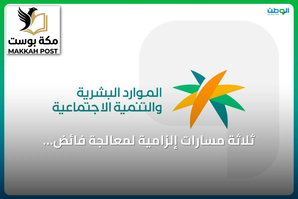 ثلاثة مسارات إلزامية لمعالجة فائض الموظفين في مشاريع التحول الحكومي