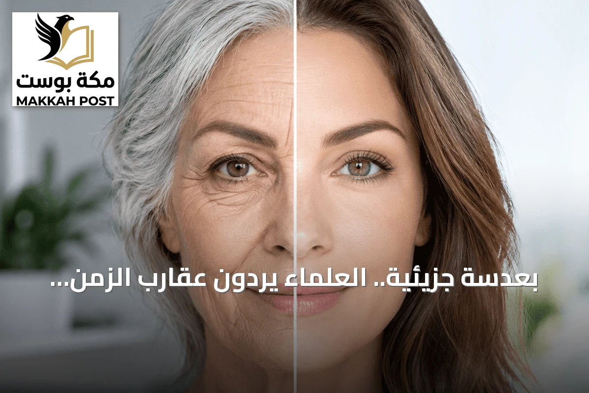 بعدسة جزيئية.. العلماء يردّون عقارب الزمن 60 عاماً في خلايا مسنّة