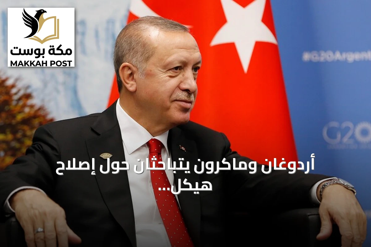 أردوغان وماكرون يتباحثان حول إصلاح هيكل الأمم المتحدة وانتخاب أمينها العام المقبل