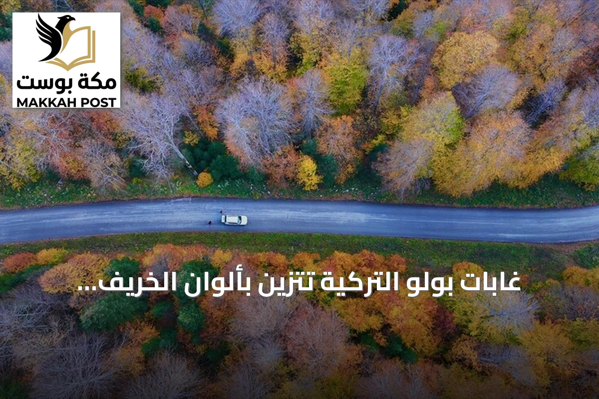 غابات بولو التركية تتزين بألوان الخريف الساحرة