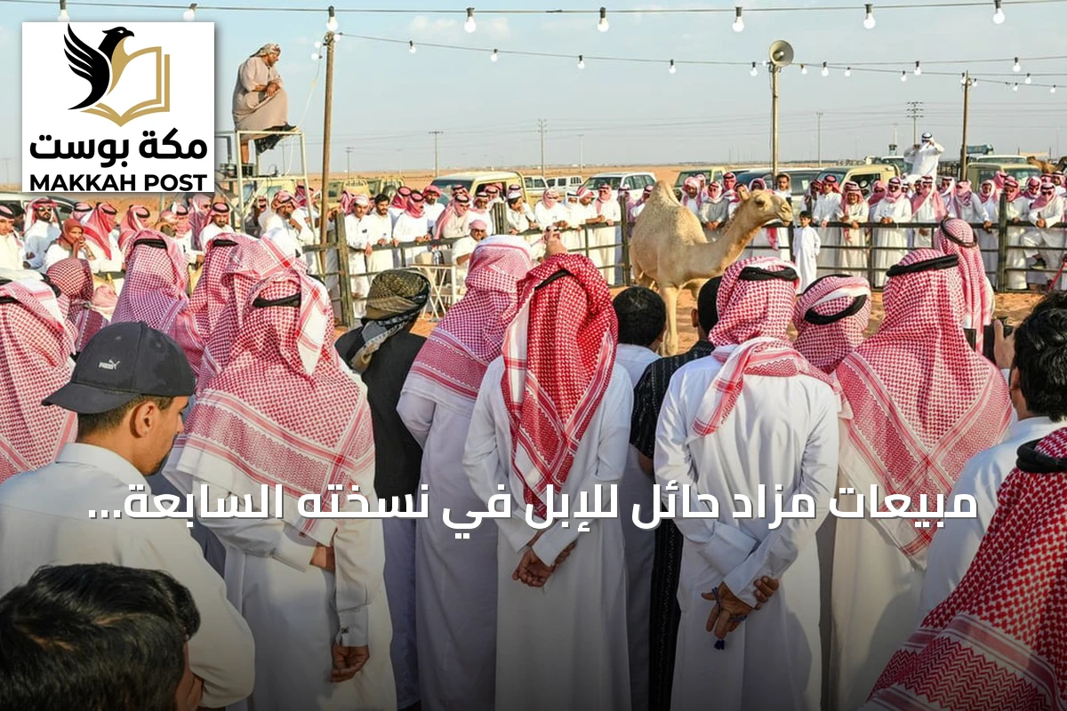 مبيعات مزاد حائل للإبل في نسخته السابعة عشرة تتجاوز 26.3 مليون ريال