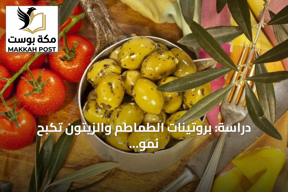 دراسة: بروتينات الطماطم والزيتون تكبح نمو الأورام