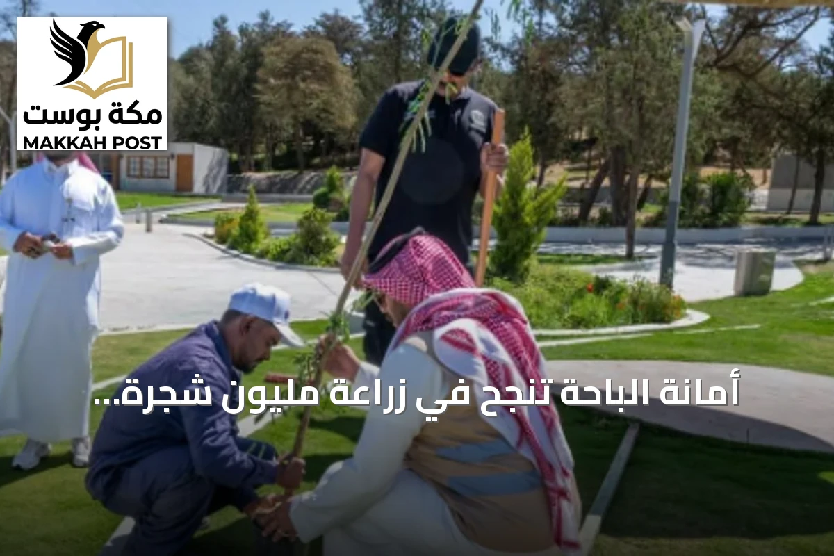 أمانة الباحة تنجح في زراعة مليون شجرة وتوسع الرقعة الخضراء بأكثر من 1.25 مليون متر مربع