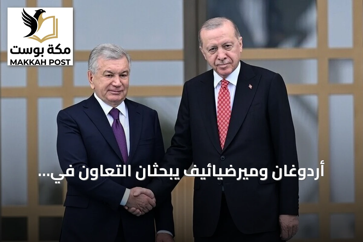 أردوغان وميرضيائيف يبحثان التعاون في أنقرة ضمن قمة الدول التركية