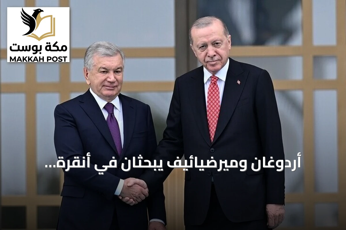 أردوغان وميرضيائيف يبحثان في أنقرة العلاقات الثنائية وملفات إقليمية ودولية