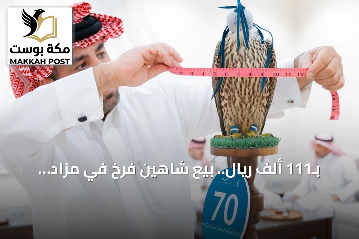 بـ111 ألف ريال.. بيع شاهين فرخ في مزاد الصقور بالدبدبة