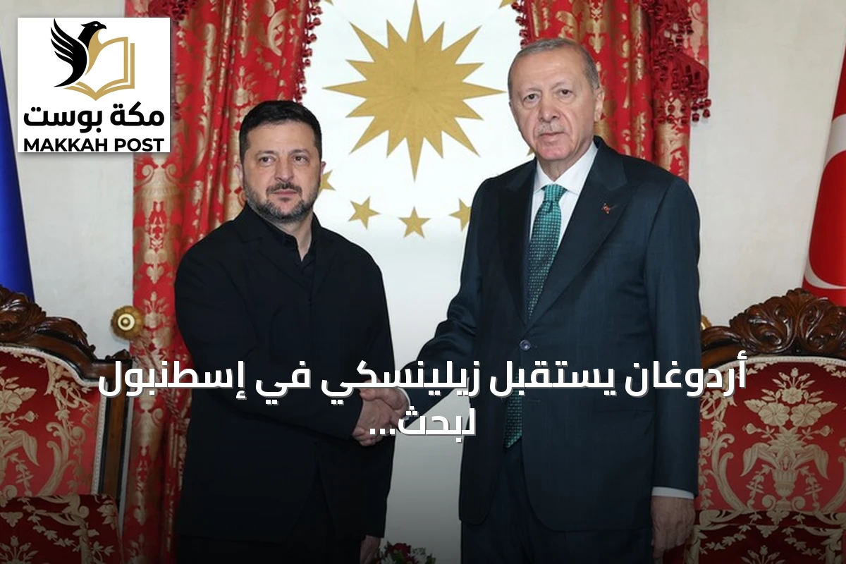 أردوغان يستقبل زيلينسكي في إسطنبول لبحث العلاقات الثنائية