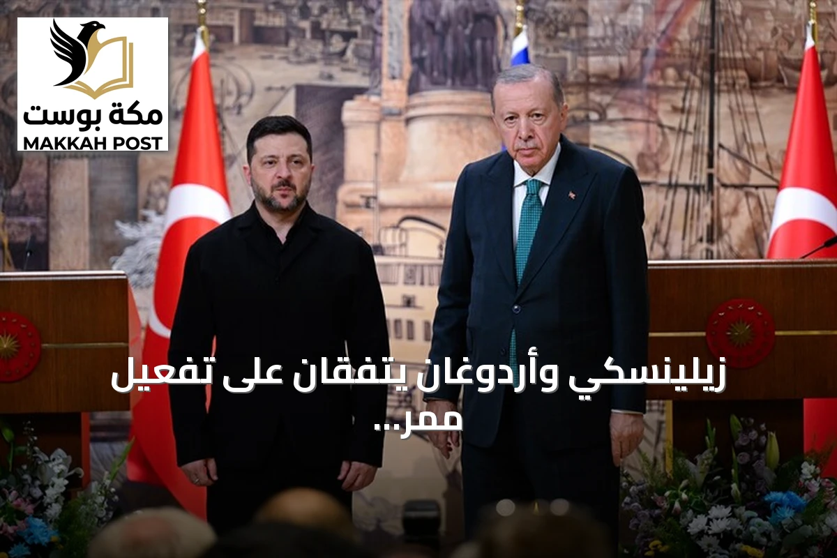 زيلينسكي وأردوغان يتفقان على تفعيل ممر الحبوب في البحر الأسود